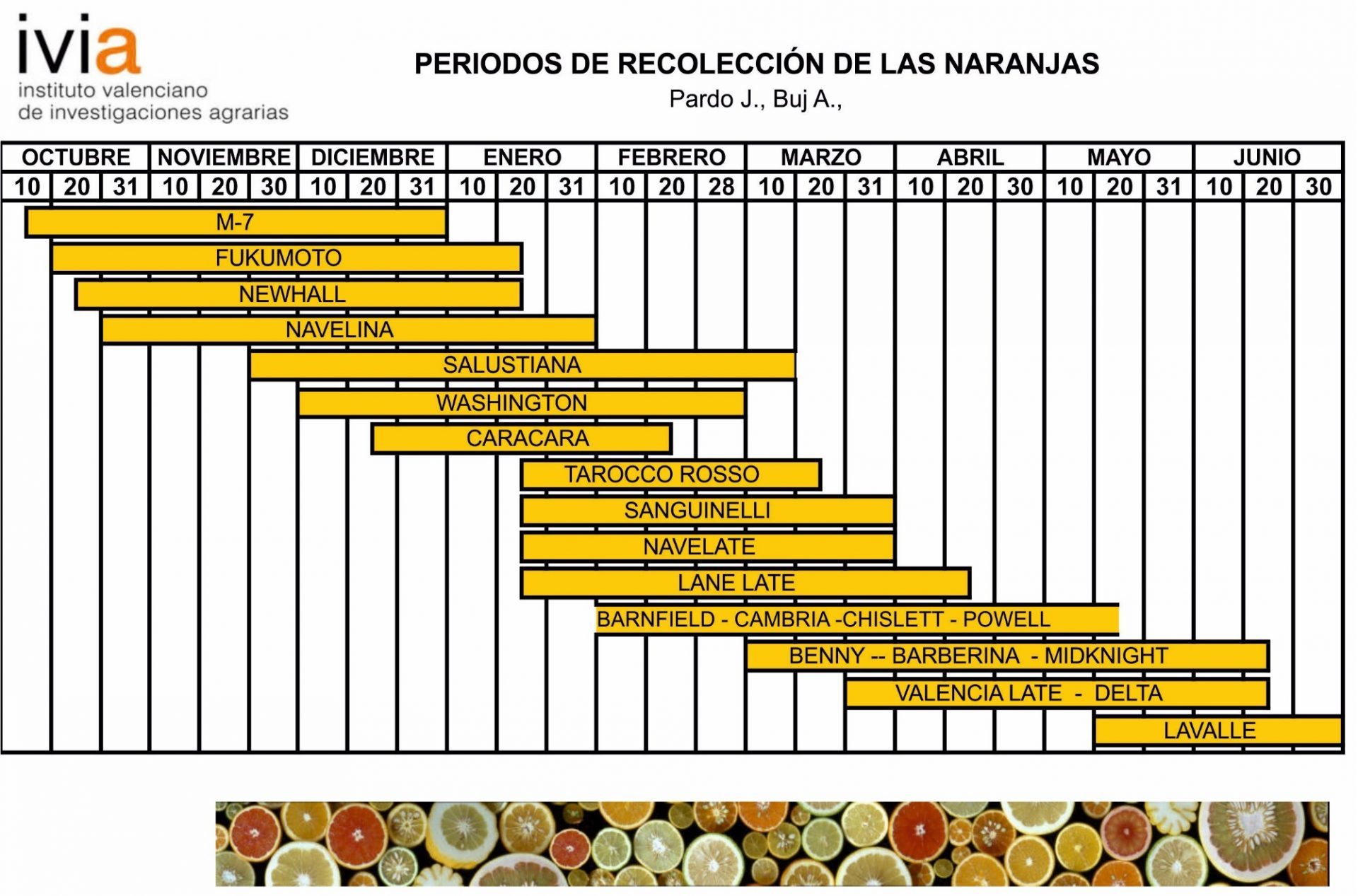 Periodo Recolección Naranjas
