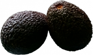 Aguacates frescos